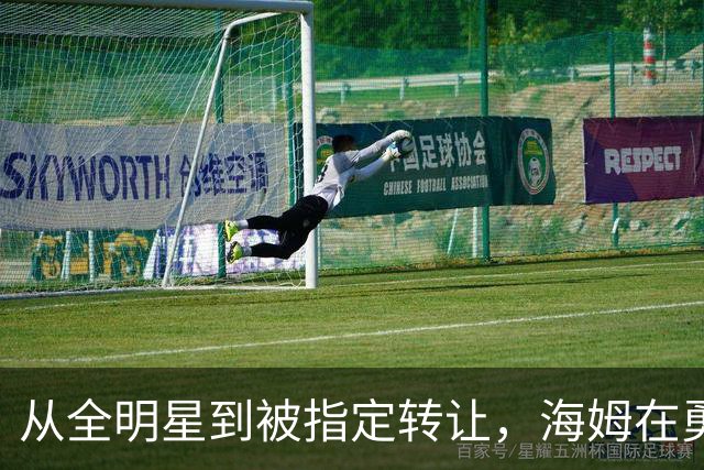 从全明星到被指定转让，海姆在勇士只打了12场