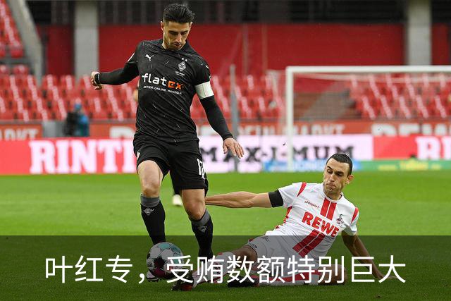 叶红专，受贿数额特别巨大