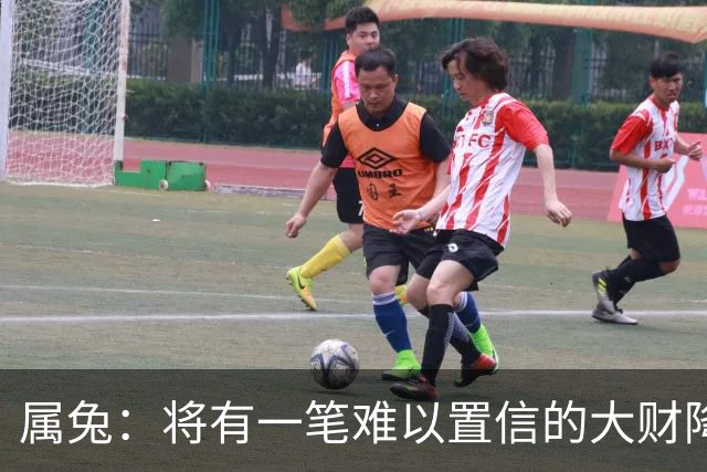 属兔：将有一笔难以置信的大财降临，2027年，你要乐开花