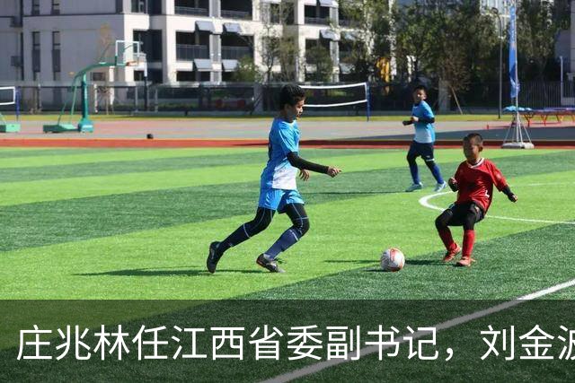 庄兆林任江西省委副书记，刘金波任江西省委委员、常委