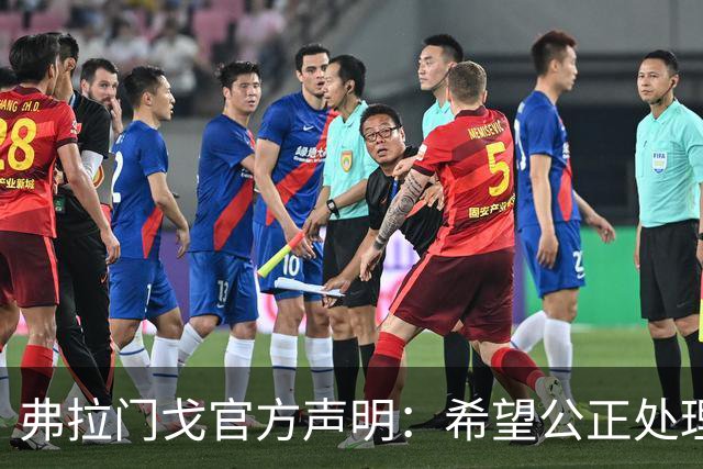 弗拉门戈官方声明：希望公正处理拉普拉塔大学生违规启用罗霍一事