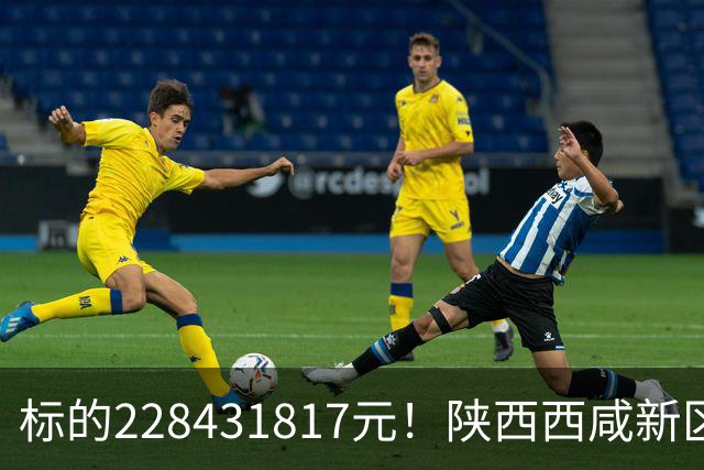 标的228431817元！陕西西咸新区发展集团有限公司新增被执行人记录