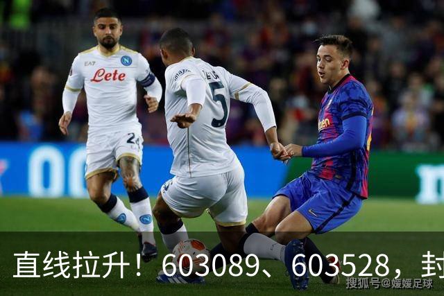 直线拉升！603089、603528，封涨停！