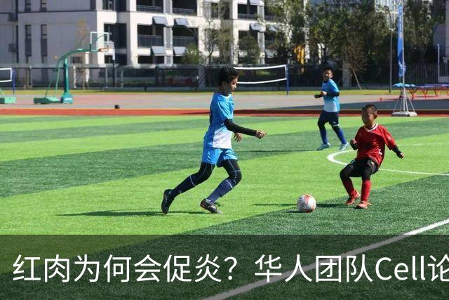 红肉为何会促炎？华人团队Cell论文：红肉及肌肉损伤产生的左旋肉碱会激活炎性小体，加剧炎症
