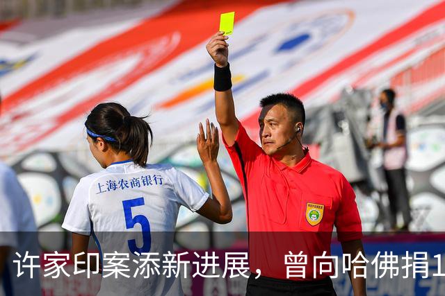 许家印案添新进展，曾向哈佛捐12亿港元，原来他和潘石屹是一类人