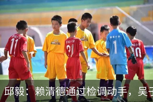 邱毅：赖清德通过检调动手，吴子嘉绝食以死明志吓退司法迫害