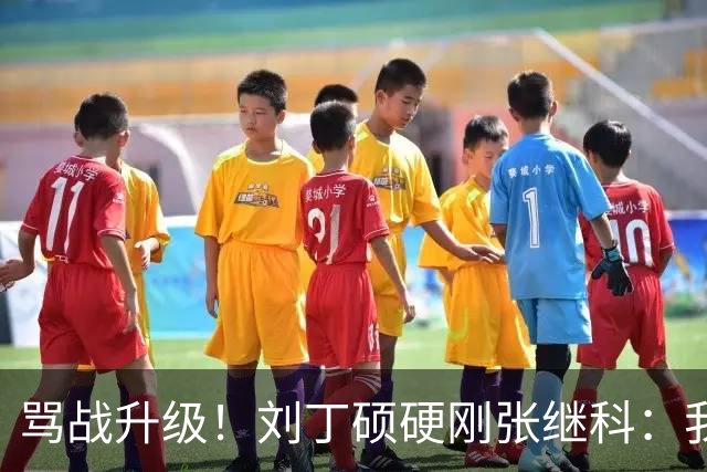 骂战升级！刘丁硕硬刚张继科：我不虚你，你是打不过人才退役