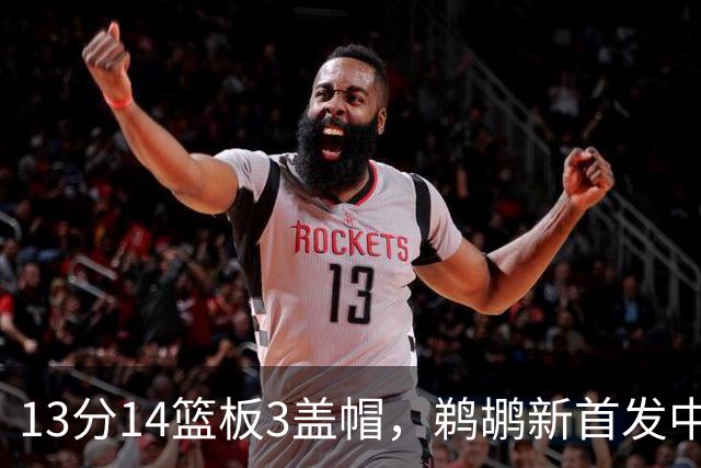 13分14篮板3盖帽，鹈鹕新首发中锋首秀交出两双
